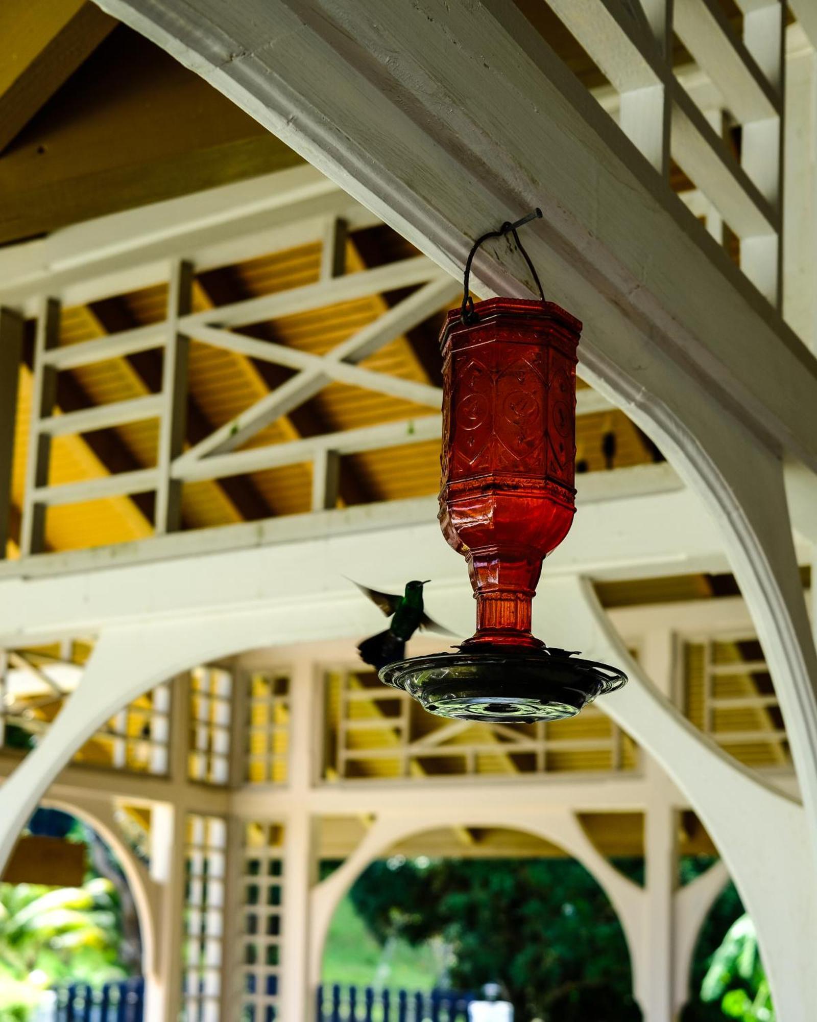 Silk Cotton Cottages Parrot Hall エクステリア 写真