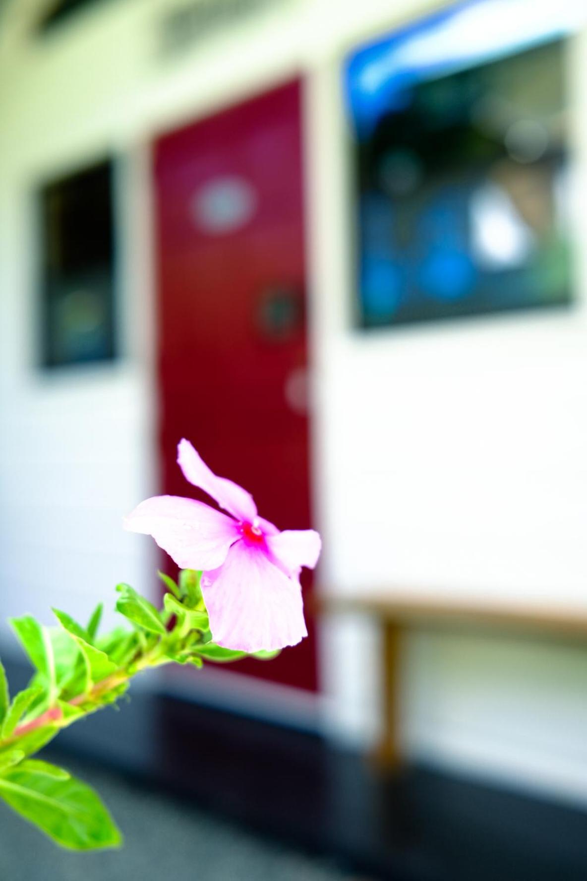 Silk Cotton Cottages Parrot Hall エクステリア 写真