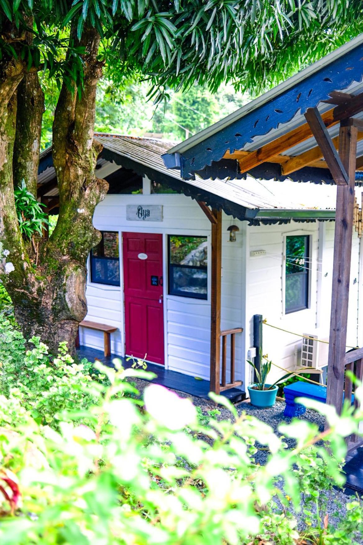Silk Cotton Cottages Parrot Hall エクステリア 写真