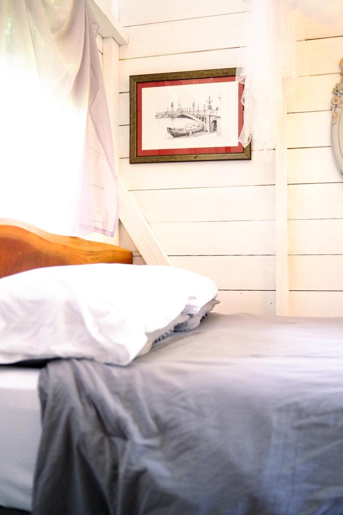 Silk Cotton Cottages Parrot Hall エクステリア 写真